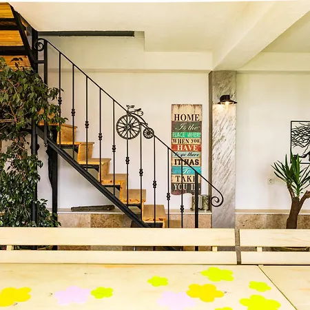 докторската къща *