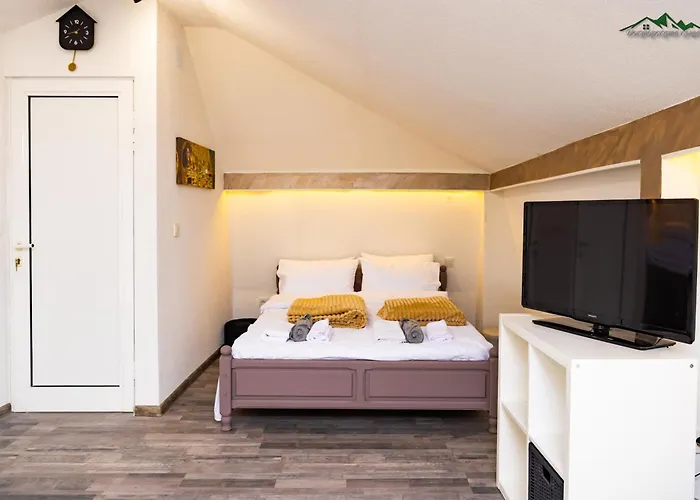 докторската къща *